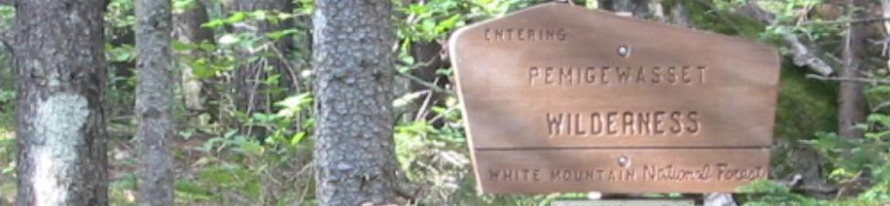 Entering Pemigewasset Wilderness - 900x200