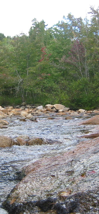 North Fork East Branch Pemigewasset River