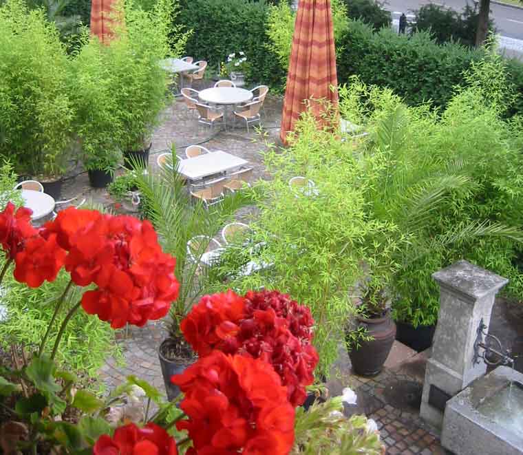 Landgasthof Breiti - View from the Room