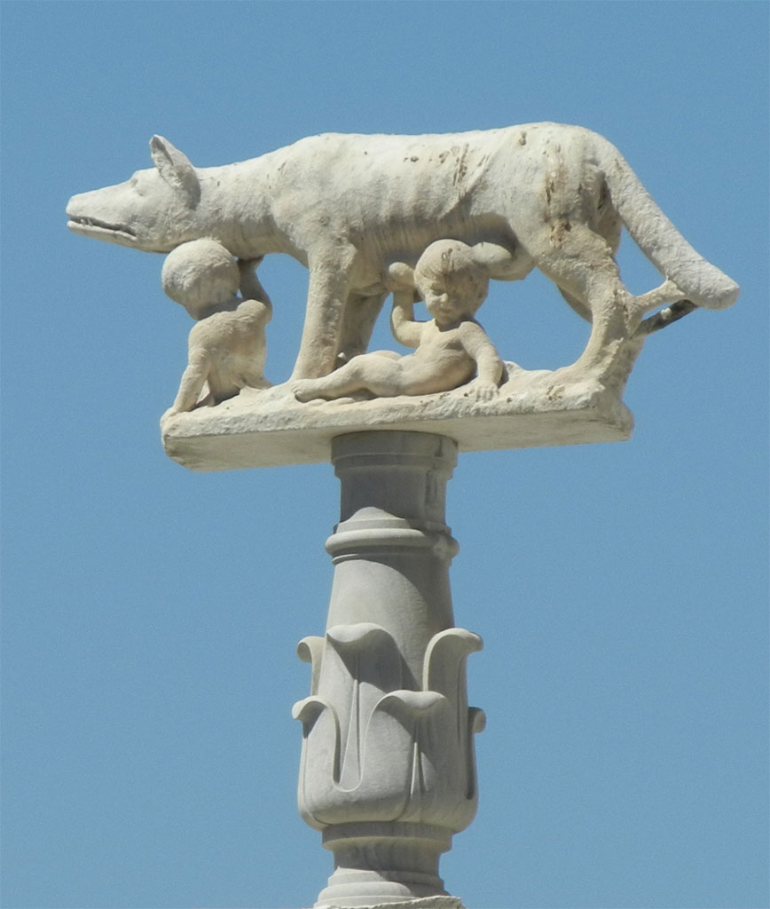 Siena - Fox and Boys
